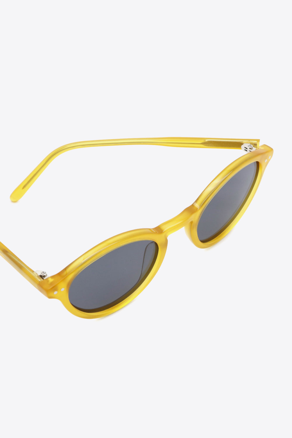Acetate Frame Wayfarer Sunglasses